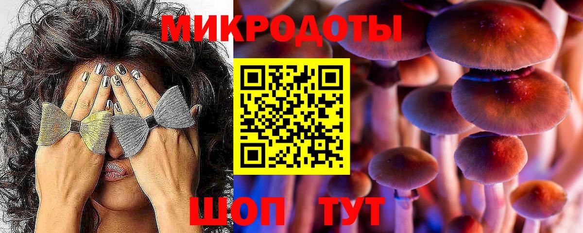Псилоцибиновые грибы Psilocybe  Псилоцибиновые грибы мухоморы  Зеленодольск  Вход с VPN 